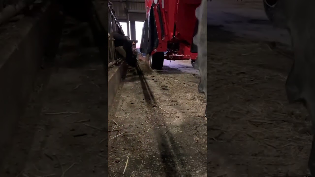 Video PROFILE PLUS 2 DS /  CS