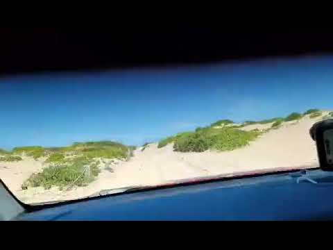 Going to the beach with the wife on the weekend