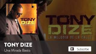 Tony Dize - Una Mirada Basto  [Official Audio]