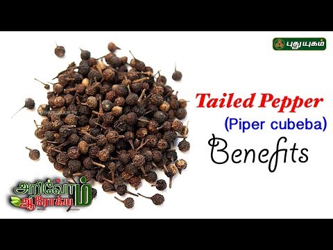 Benefits of Cubeb pepper (Piper cubeba) | வால் மிளகு பயன்கள் | EP 45 | 15/04/2019