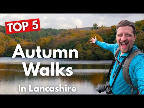 These Are The BEST Autumn Walks In Lancashire