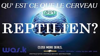LE CERVEAU REPTILIEN ... Qu'est-ce que c'est ? [ Science & découverte ]