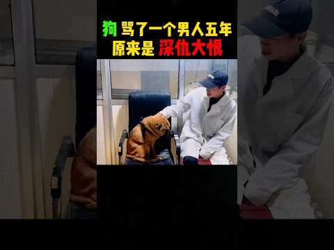 狗骂了一个男人五年，原来真的有深仇大恨啊！ #automobile #大熱門 #搞笑 #影視解説 #感人壹幕 #科普 #影视聚焦 #熱門