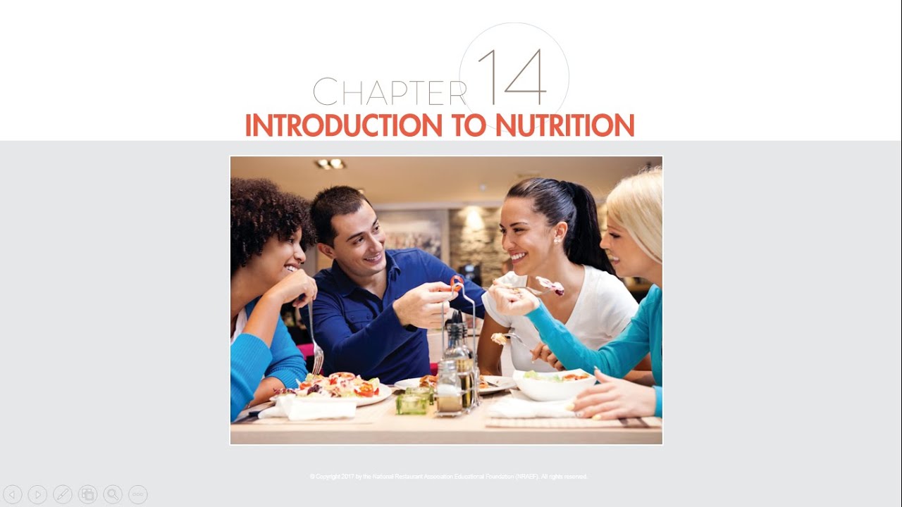 Understanding Essential Nutrients: A Comprehensive Guide to Nutrition ...