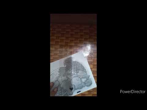 Shading In Fruits || (TIME LAPSE)