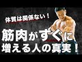 筋肉がつかない体質だと思っている人へ【筋トレ】