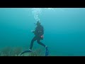 Florida Reef Scuba Dive Video By Clean Coast Crew