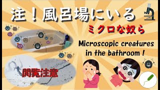 お風呂場は実は気持ち悪い!微生物だらけです!! The bathroom is disgusting. It's actually full of microorganisms.