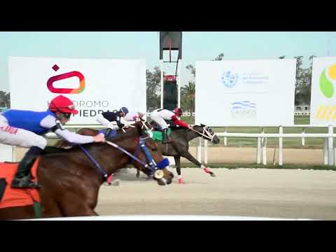 230616 c01 - CHICA FUERTE - HIPODROMO LAS PIEDRAS