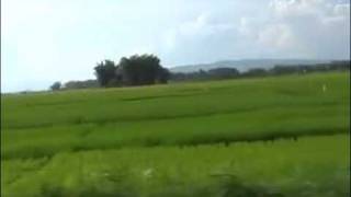 Download lagu Simbolon's Family mp3