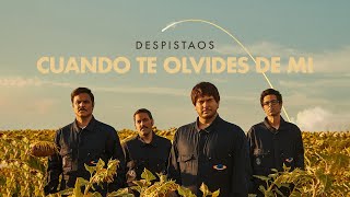 Despistaos | Cuando Te Olvides De Mí (Nuevo single ✅)
