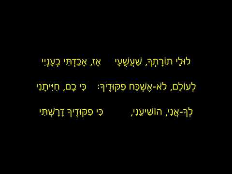 לולי תורתך שעשעי כ"ק אדמו"ר סקולען זצוק"ל - ביצוע ר' דוד וערדיגער זצ"ל.