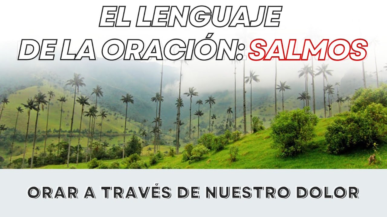 EL LENGUAJE DE LA ORACIÓN : Orar através de nuestro dolor
