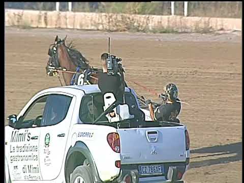 Trotto 15/09/2017 - 6ª corsa