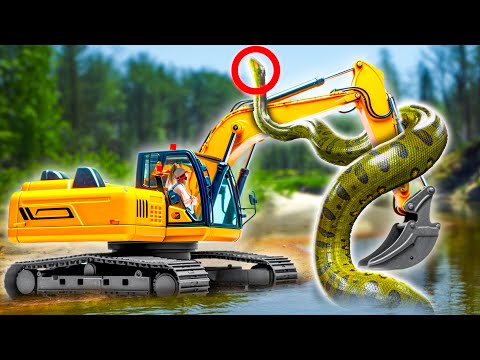 The Largest Snake In The World!