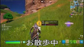 【フォートナイト】ビクロイ「は」できる
