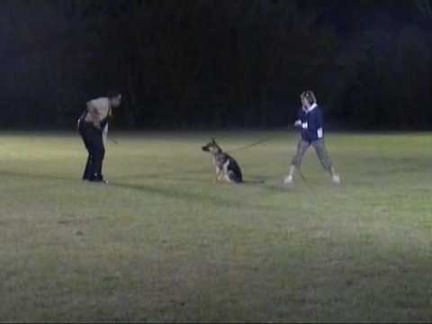 Athena (Pepper) Bite Work #3 03/20/09