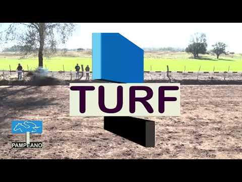 Turf - DOBLAS - LA PAMPA - 11-5-25 - Fotochart Fernandez