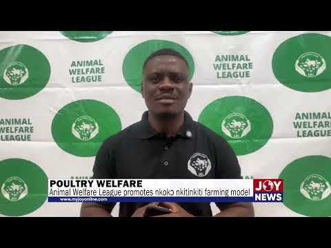 Poultry welfare: Animal Welfare League promotes nkokɔ nkitinkiti farming model #JoyNews