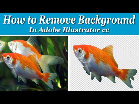 Mascot Logo Design In Illustrator Learn How To Create Professional Mascot Logo Design