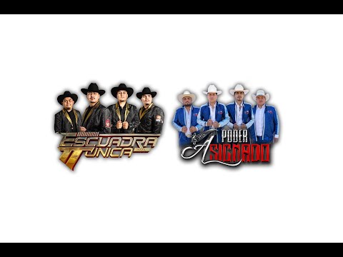 Oiga Compadre - Escuadra Unica x Poder Asignado