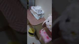 我が厠を紹介しせむ動画