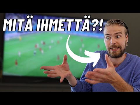 MY DAY - EM JALKAPALLO, KESÄ JA KOIRAT