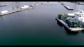 Harbor Tides