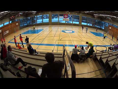 20171202 Futsal Team Fribourg Old Fox - Futsal Löwen Zürich 5 : 6