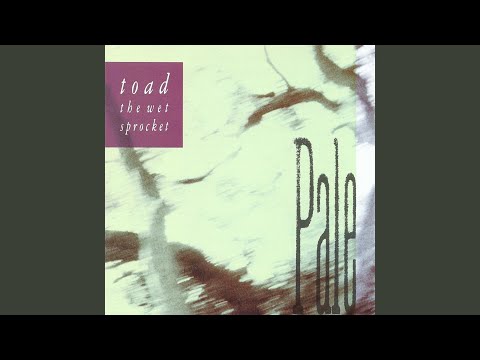 High on a Riverbed - Toad the Wet Sprocket