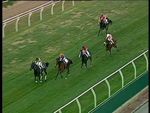 Galoppo 06/12/2017 - 5ª corsa