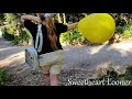 A Walk In The Park With My Yellow Egg