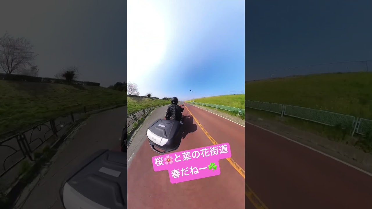 #HONDADIO110#むぎめめちゃんねる# #aicover YouTube#休日動画#オズモアクション4#Insta360x3