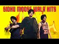 Sidhu moosewala All Songs | Sidhu moosewala New songs 2024 #siddhumoosewala all song trending songs