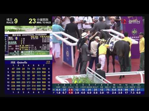 綽力之城 (N152) 貝湯美 16/06/2013