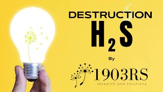 solutions H2S 1903RS