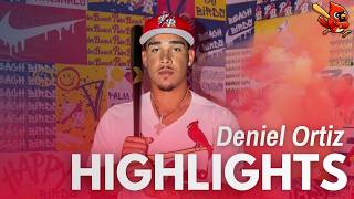 Deniel Ortiz’s BREAKOUT 2025 Highlight Reel | Cardinals Prospect Highlights