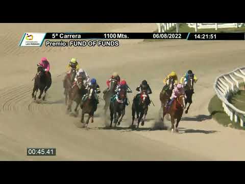 220806 c05 - MASCHIO BELLO - HIPODROMO LAS PIEDRAS