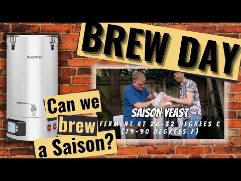 How to brew a Saison beer. Can you?