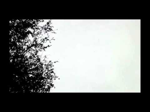 桂N – Qinzhou=桂, guì,CN