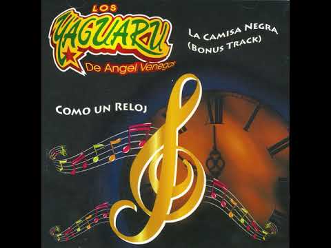 Los Yaguaru - Antídoto (Audio)