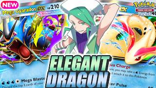 ELEGANT COMBO ! MILOTIC & MEGA GYARADOS Are Amazing in New EVERYDAY WONDERS Set - Pokemon TCG Pocket