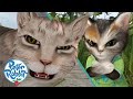 ​ OfficialPeterRabbit Pawsome Cat Adventures On World Cat Day Kidzuko