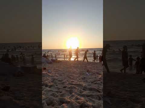 #sunset #beach #travel #summer #waves #sport  #fish