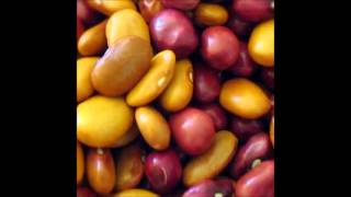 carlos santana-dance the night away-spanish project