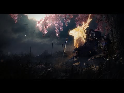 How I'd Play Nioh 2 From The Start!