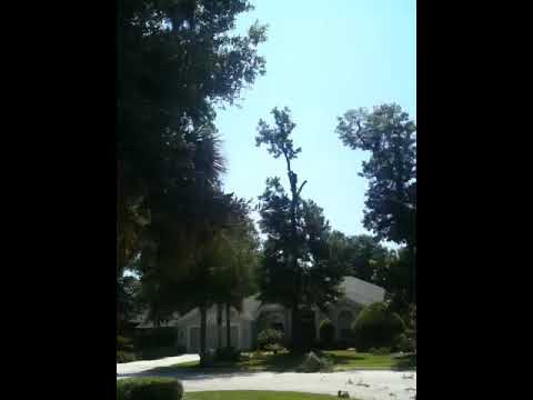 J&B's Tree Service job video thumbnail