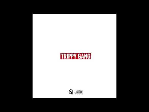 TrippyGang - T.G. (2016)
