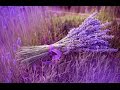 Joshua Bell "Ladies in Lavender" (soundtrack) - Джошуа Белл "Дамы в лиловом"