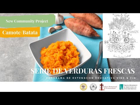 🥗 Camote/Batata con frijoles | dulce y salado, suave y picante 🍅🥒